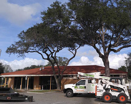 DTS Tree Service provides dependable maintenance, tree removal, canopy care and insurance claim mitigation for Commercial, Municipal, and Educational Campuses throughout Volusia County